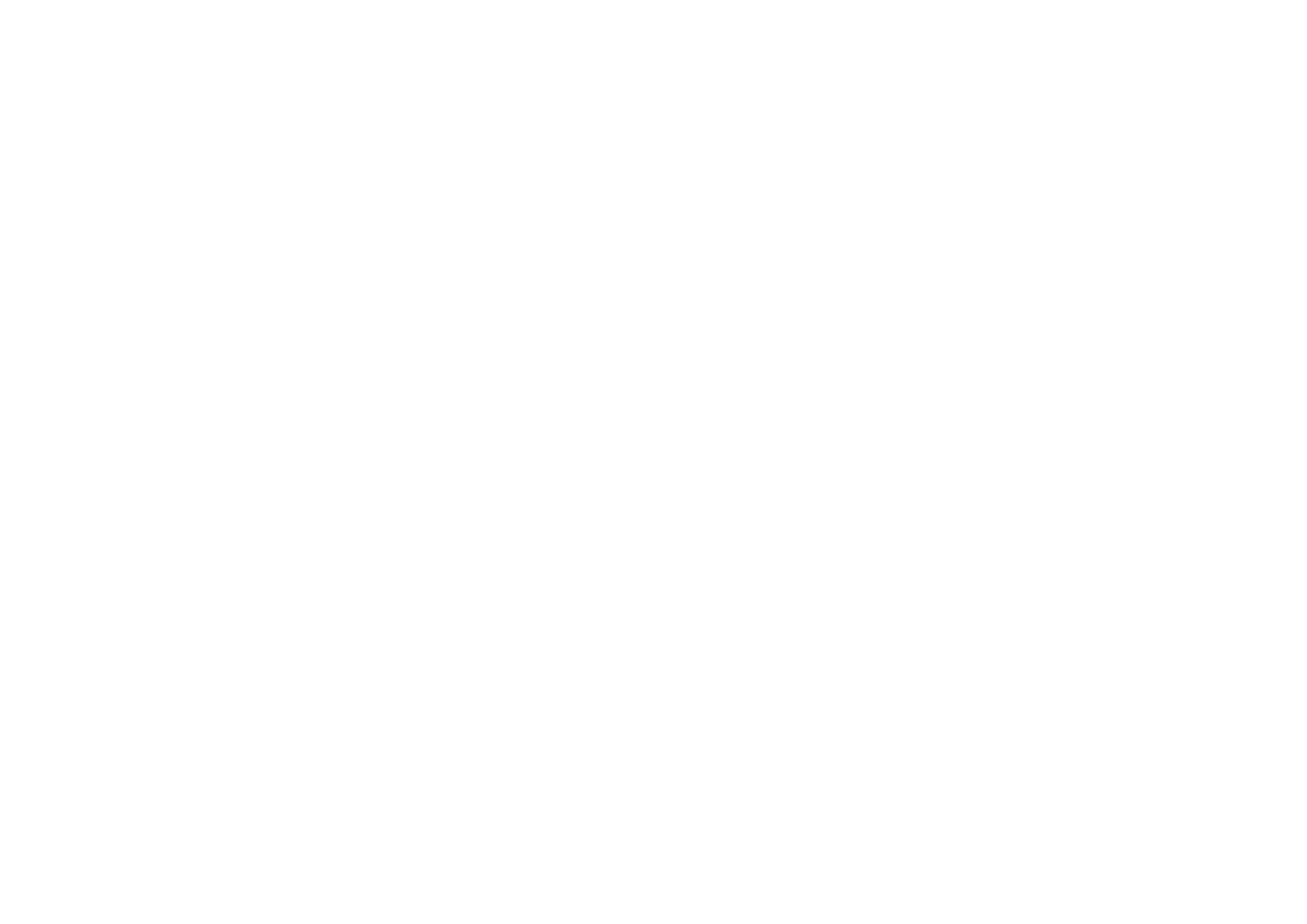 Prestige Football Schools white