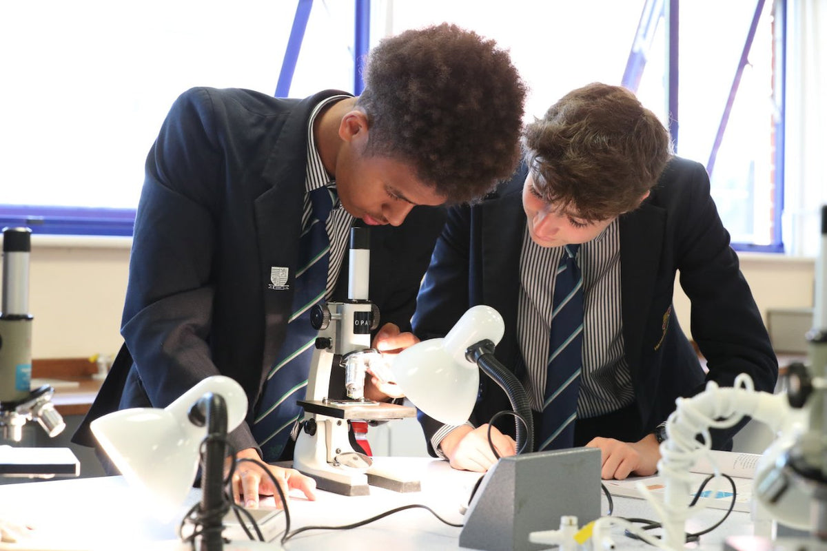 Students working in a school science laboratory